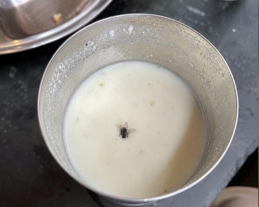BMC कैंटीन में बड़ा लापरवाही का मामला! छाछ के गिलास में मिली मक्खी, FDA ने कैंटीन की सील