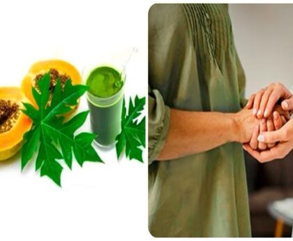 क्या पपीते की पत्तियों का अर्क कीमोथेरेपी मरीजों के लिए फायदेमंद? 