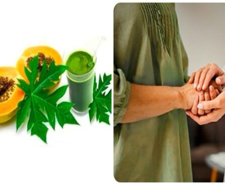 क्या पपीते की पत्तियों का अर्क कीमोथेरेपी मरीजों के लिए फायदेमंद? 