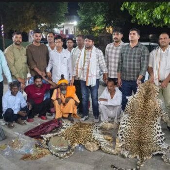 आगरा में वन्यजीव तस्करी का बड़ा खुलासा, 10 तेंदुओं की खाल बरामद