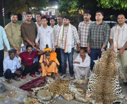 आगरा में वन्यजीव तस्करी का बड़ा खुलासा, 10 तेंदुओं की खाल बरामद