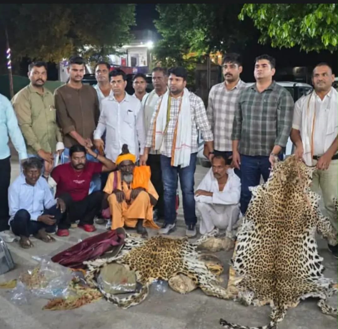 आगरा में वन्यजीव तस्करी का बड़ा खुलासा, 10 तेंदुओं की खाल बरामद