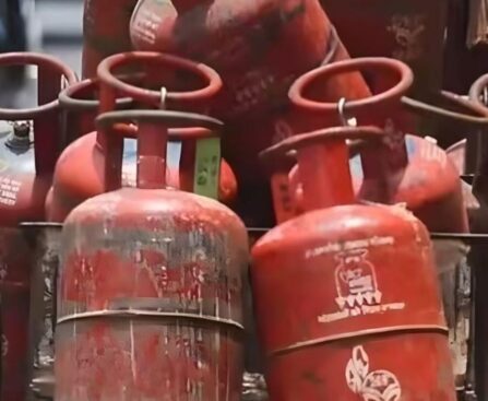अब सिर्फ 10 मिनट में घर पहुंचेगा गैस सिलेंडर! Instamart और HPCL की नई सर्विस शुरू