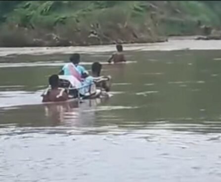 बाढ़ के तेज बहाव के बीच गर्भवती महिला को डोली के सहारे अस्पताल पहुंचाया
