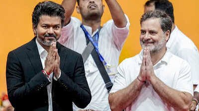 2029 में राहुल गांधी को PM कैंडिडेट नहीं बनाया तो इस्तीफा देंगे दो मंत्री!