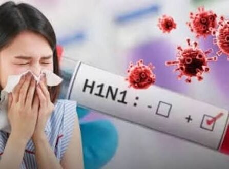 दिल्ली में स्वाइन फ्लू ने बढ़ाई चिंता, 7 साल का रिकॉर्ड टूटा, एक दिन में मिले 164 नए केस