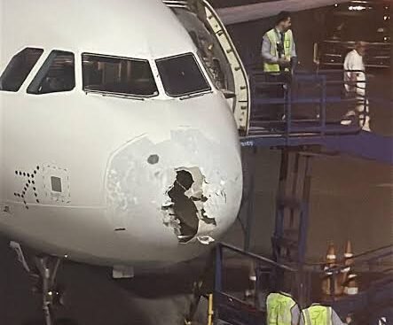 श्रीनगर एयरपोर्ट पर लैंडिंग के बाद हादसे का शिकार हुई IndiGo की फ्लाइट, पार्किंग के दौरान पोल से टकराया विमान