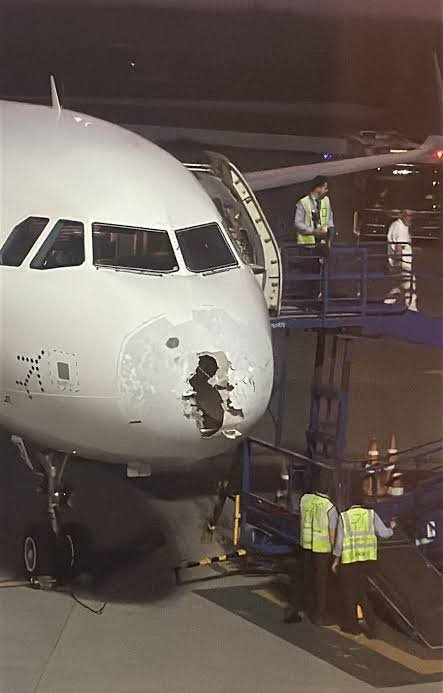 श्रीनगर एयरपोर्ट पर लैंडिंग के बाद हादसे का शिकार हुई IndiGo की फ्लाइट, पार्किंग के दौरान पोल से टकराया विमान