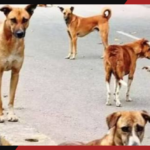 दिल्ली में किशोरी की हत्या का मामला: CCTV से खुला राज, चार आरोपी हिरासत में